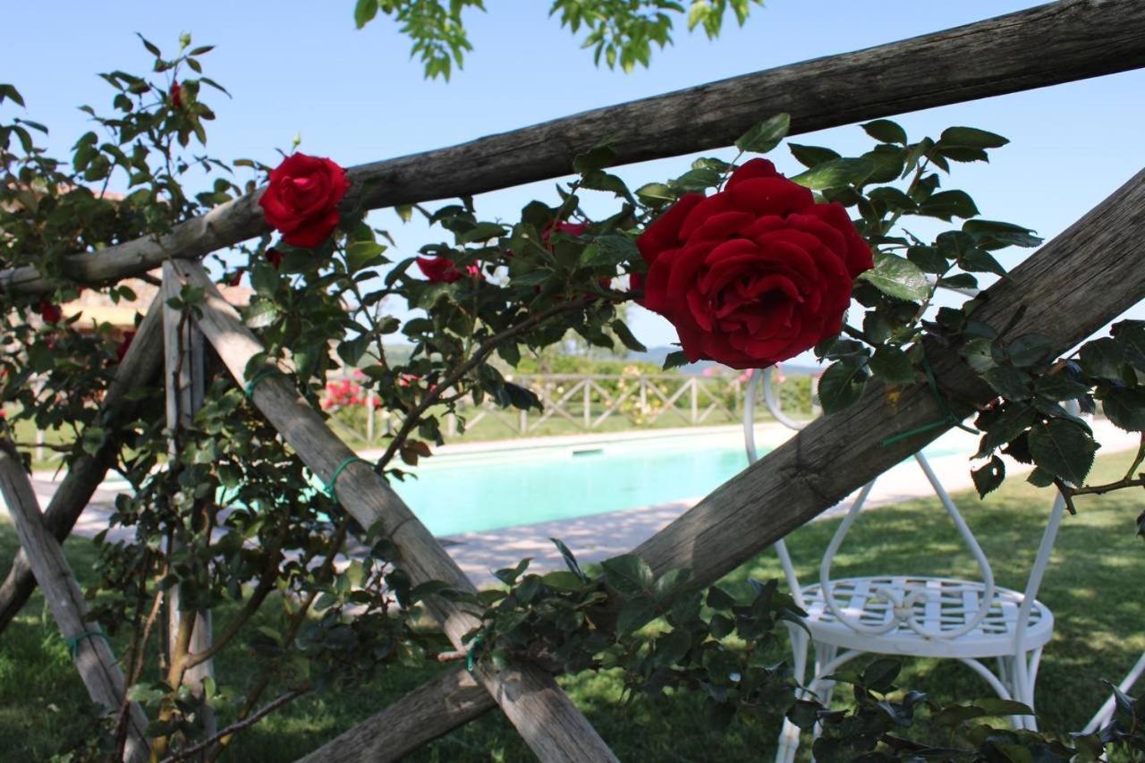 Agriturismo La Paciarella Villa Campiglia d'Orcia ภายนอก รูปภาพ
