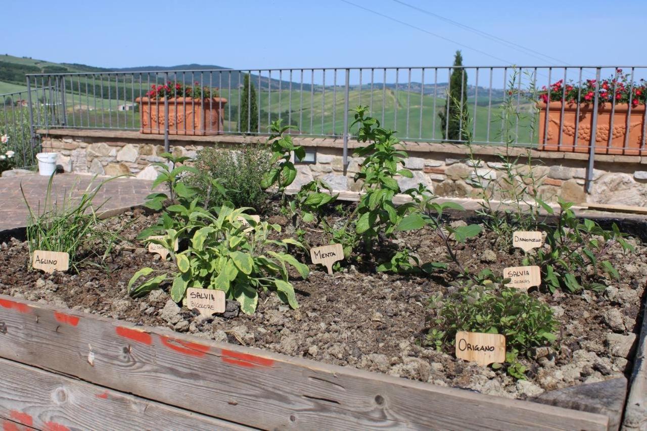 Agriturismo La Paciarella Villa Campiglia d'Orcia ภายนอก รูปภาพ