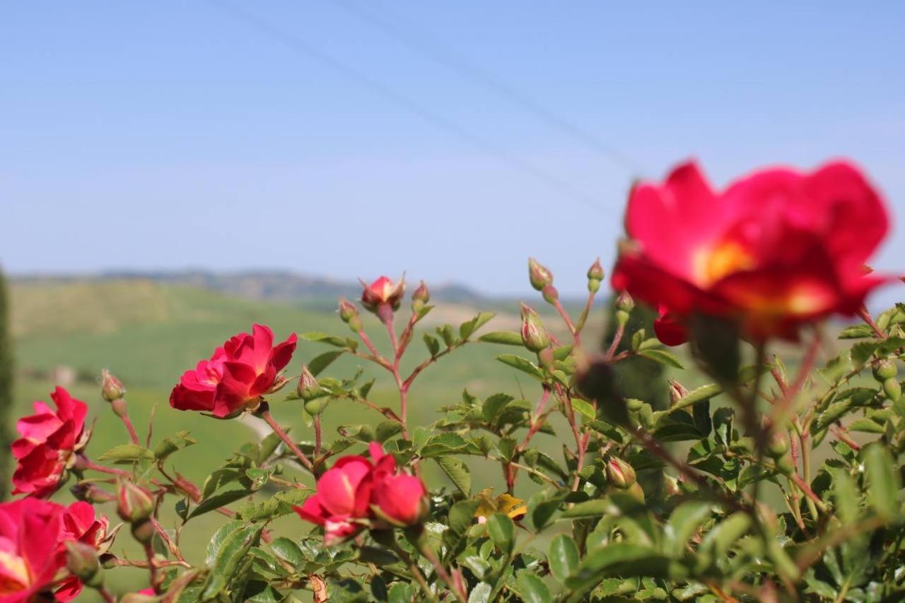 Agriturismo La Paciarella Villa Campiglia d'Orcia ภายนอก รูปภาพ