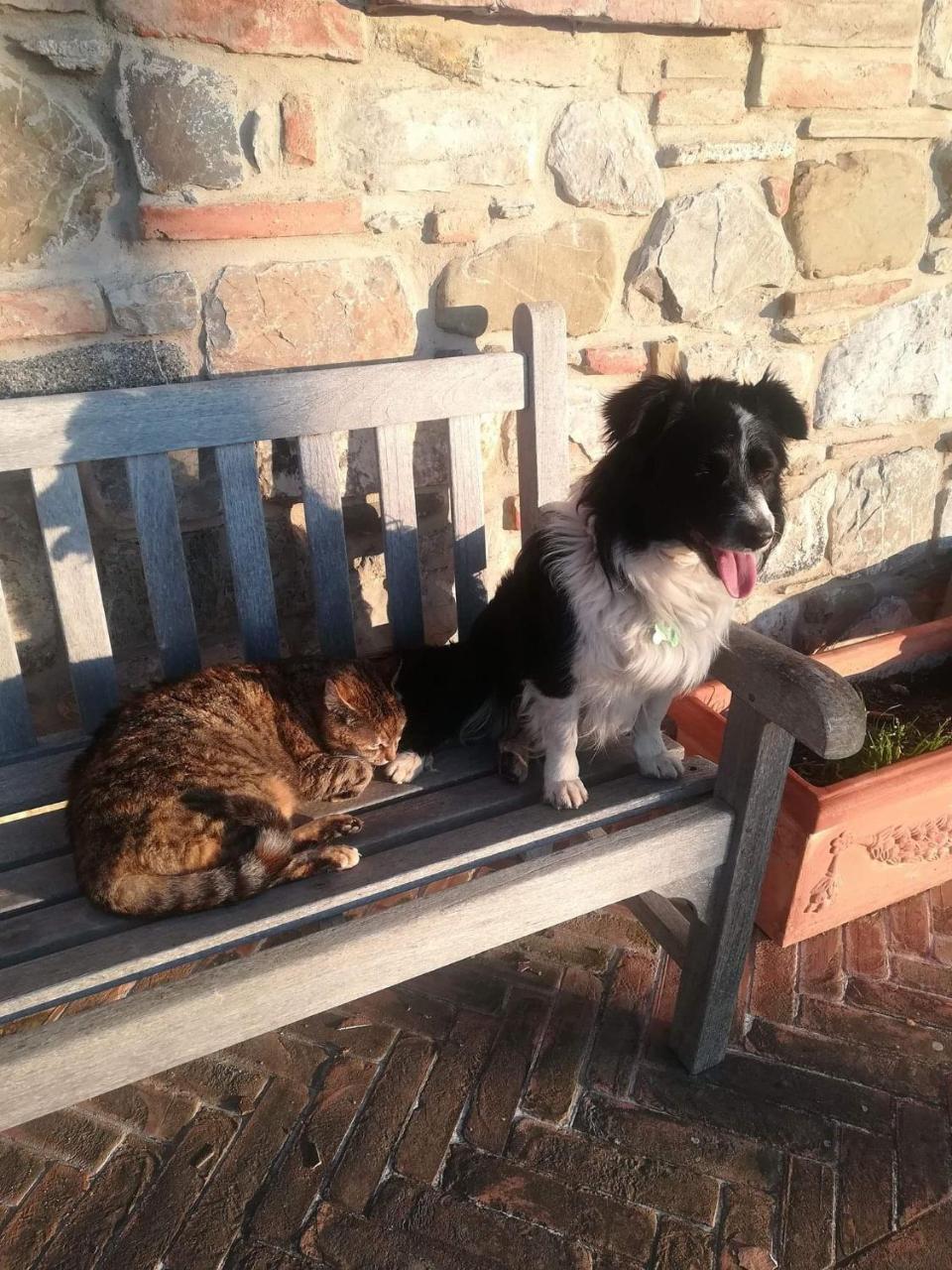Agriturismo La Paciarella Villa Campiglia d'Orcia ภายนอก รูปภาพ