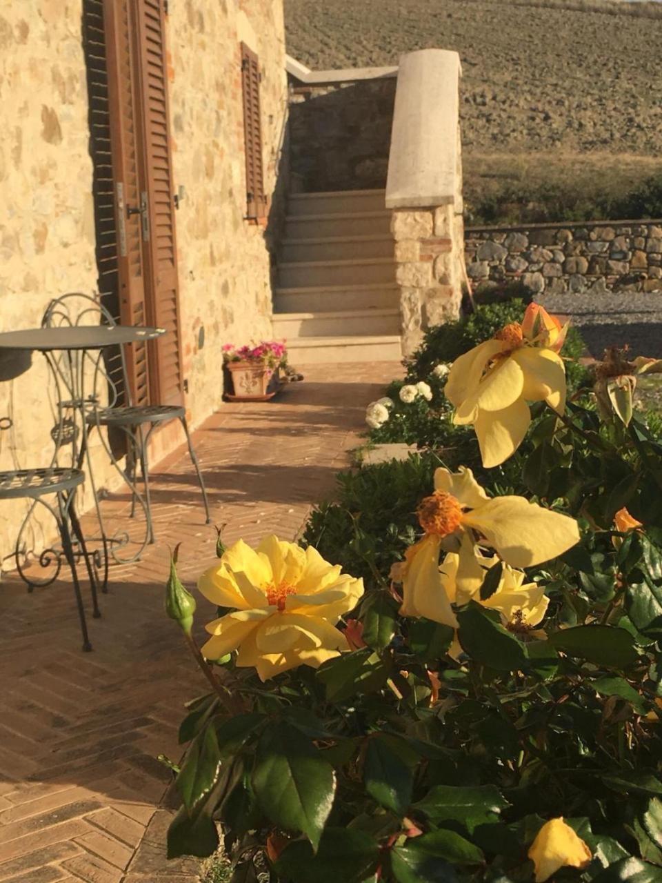 Agriturismo La Paciarella Villa Campiglia d'Orcia ภายนอก รูปภาพ